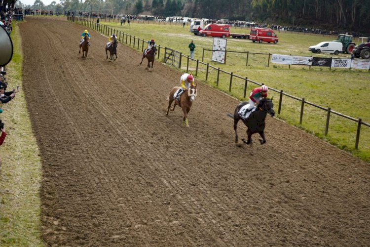 Hipódromo Municipal de Celorico de Basto recebeu o I Grande Prémio das Camélias