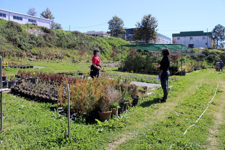 Troque resíduos por plantas