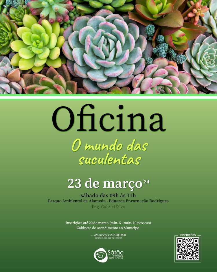 Oficina de “O Mundo das Suculentas”