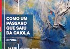 Exposição de Pintura e Técnicas Mistas | "Como um Pássaro que Saiu da Gaiola"