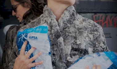 Teatro do Bairro Alto  - "SER COMO A TOUPEIRA"