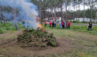 Município sensibiliza para a prevenção de incêndios em Abril e Maio