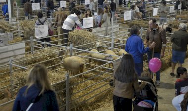 40ª Ovibeja celebra associativismo, partilha de conhecimento, competitividade e inovação