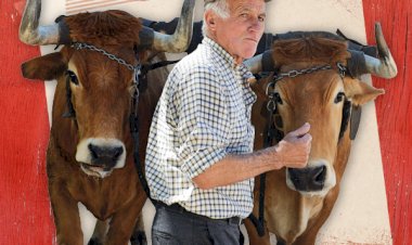 Visite o Mercado Caramelo!