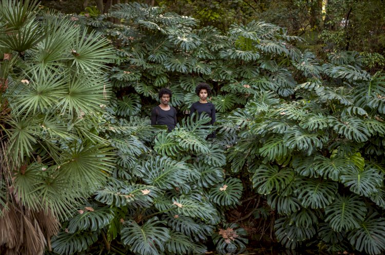 Projecto GREENHOUSE - 60.ª Exposição Internacional de Arte - La Biennale di Venezia