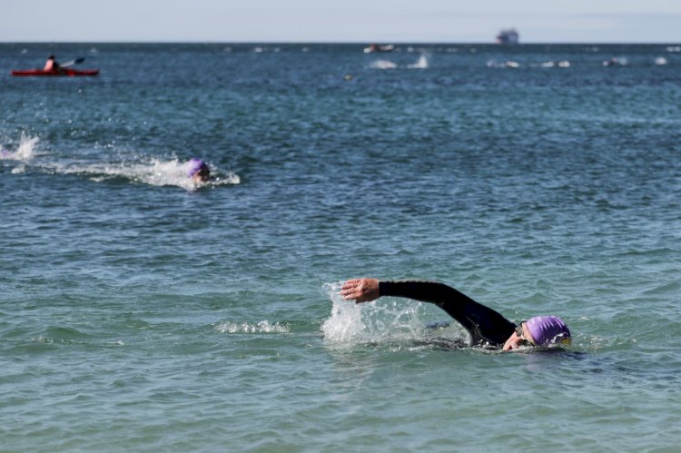 4.ª Edição do Setúbal Open Water Race, de regresso ao rio Sado