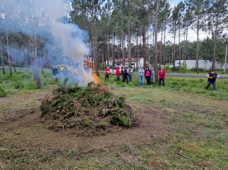 Município sensibiliza para a prevenção de incêndios em Abril e Maio