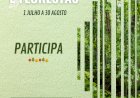 Voluntariado Jovem para a Natureza e Florestas