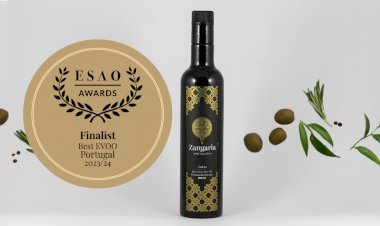 Azeite do concelho da Sertã reconhecido em concurso internacional