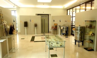 Exposição Nem tudo é mel na vida das abelhas na Biblioteca Municipal