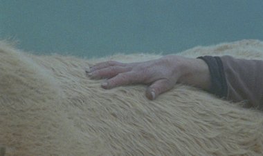 "Quando a terra foge" de Frederico Lobo seleccionado para a Quinzena dos Realizadores