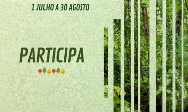 Voluntariado Jovem para a Natureza e Florestas