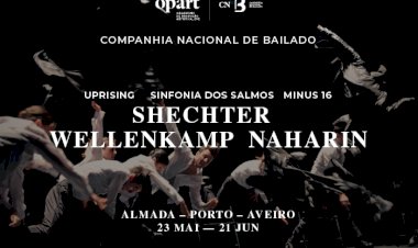 Tudo sobre Shechter/Wellenkamp/Naharin