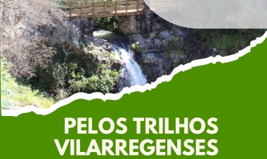 Vila de Rei com três programas de Voluntariado Jovem durante o Verão