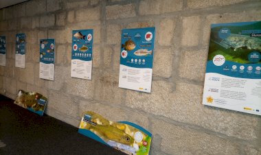 Chaves recebe exposição “Cuidado! Invasoras Aquáticas”