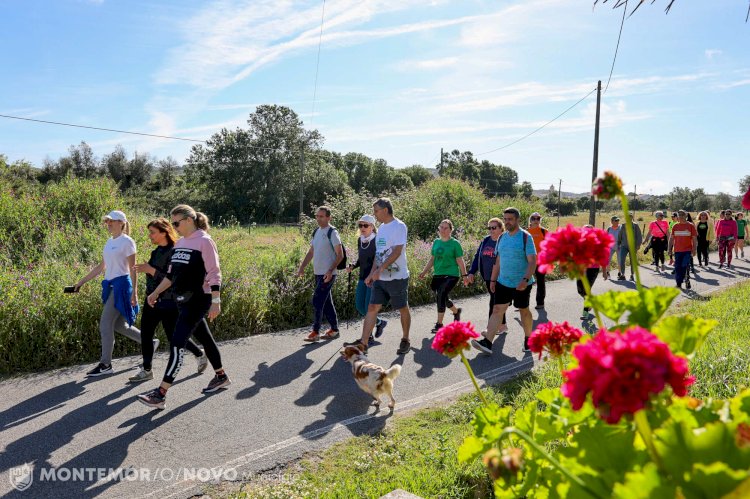 Trilhos de Santiago do Escoural percorridos no Caminhar Pelas Freguesias