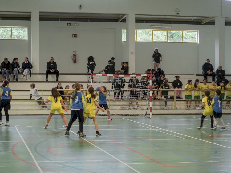 Encontro Inter-concelhio Andebol4kids juntou mais de uma centena de crianças