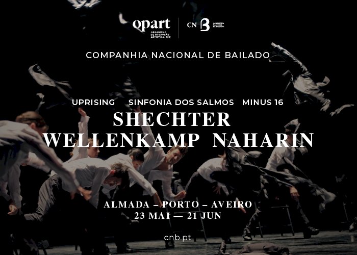 Tudo sobre Shechter/Wellenkamp/Naharin