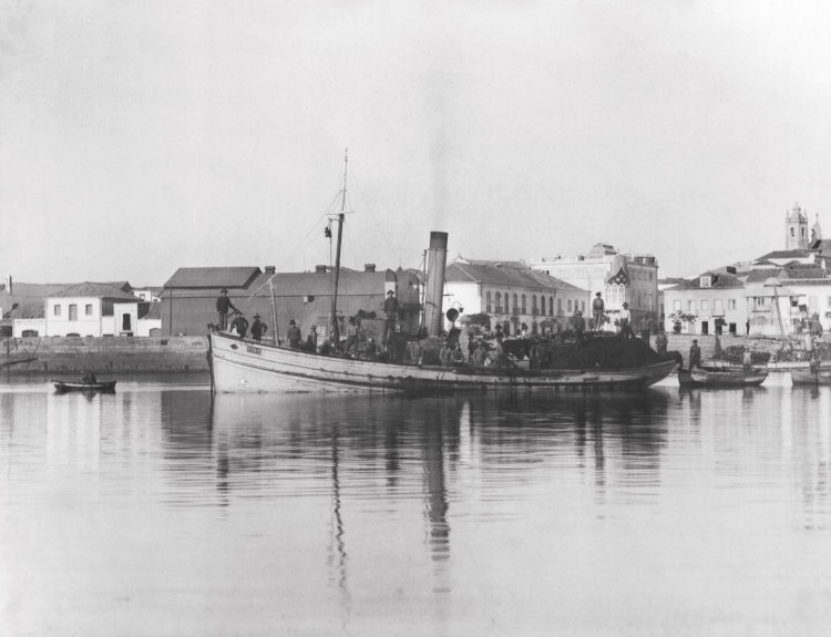 Projecto do Núcleo Museológico Casa Manuel Teixeira Gomes