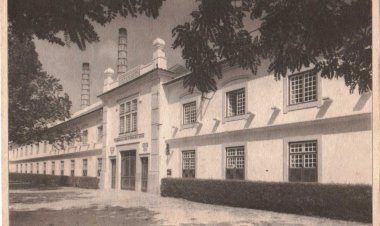 Semana dos Arquivos do CDI é dedicada aos 200 anos da Vista Alegre