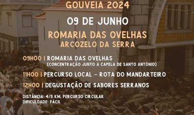Terras da Transumância - Romaria das Ovelhas | Arcozelo da Serra