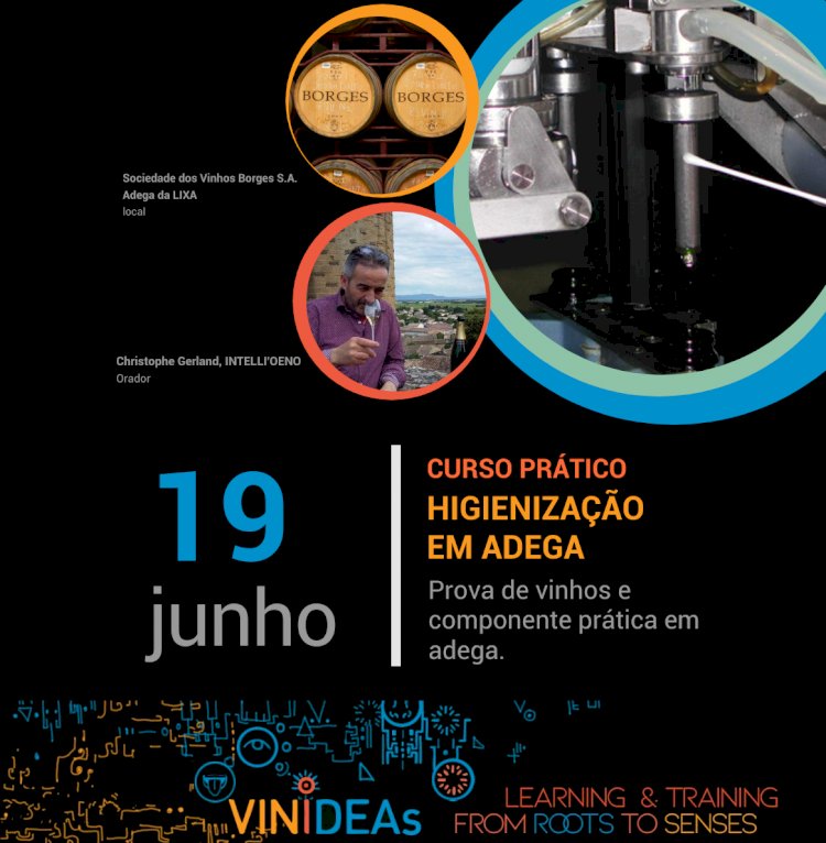 Curso Prático: Higienização em Adega