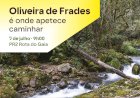 Pé Ante Pé | Oliveira de Frades é onde apetece caminhar | PR2 - Rota do Gaia