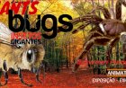EXPOFACIC proporciona viagem única pelo mundo dos insectos