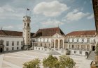 Estudo liderado pela Universidade de Coimbra descobre mecanismos de alteração da perceção visual originados por psicadélicos