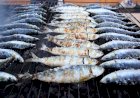 Festival da Sardinha desafia a inflação e oferece propostas para todos os gostos