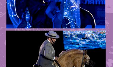 Gala Ibérica | XVI Feira do Cavalo de Ponte de Lima | 4 a 7 de Julho