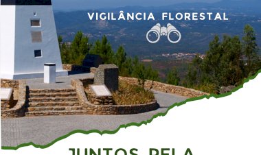 Vila de Rei: programas de Voluntariado Jovem com inscrições abertas