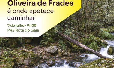 Pé Ante Pé | Oliveira de Frades é onde apetece caminhar | PR2 - Rota do Gaia