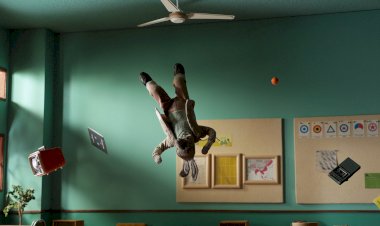 Curtas Vila do Conde apresenta programação completa para a sua 32.ª edição