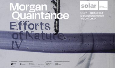 Efforts of Nature IV, de Morgan Quaintance, na Solar