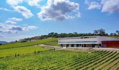 AdegaMãe conquista prémios