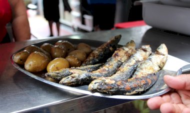 Costa Nova recebe o Festival da Sardinha de 18 a 21 de julho