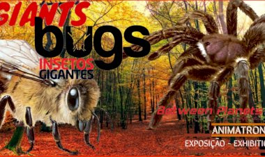 EXPOFACIC proporciona viagem única pelo mundo dos insectos