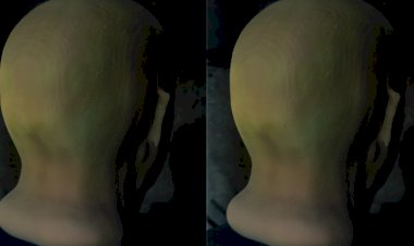 “Tecnosfera": exposição de Rodrigo Gomes no Convento de Santo António, em Loulé