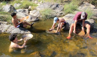 Ciência Viva no Verão em Rede 2024 arranca no concelho de Proença-a-Nova