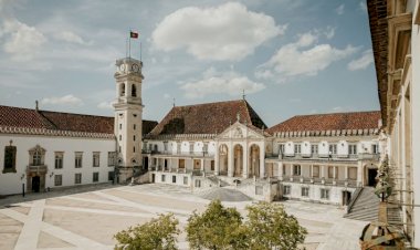 Estudo liderado pela Universidade de Coimbra descobre mecanismos de alteração da perceção visual originados por psicadélicos