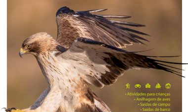 Festival dedicado à Natureza promete uma experiência inesquecível em outubro
