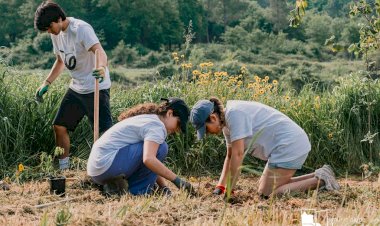 Lousada no pódio europeu de árvores plantadas em Portugal