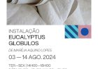 Galeria Municipal acolhe a Instalação “Eucalyptus Globulus”