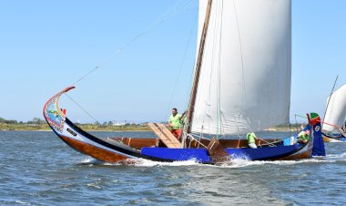 Marco Silva Foi o Grande Vencedor da Regata de Barcos Moliceiros da Festa do Emigrante