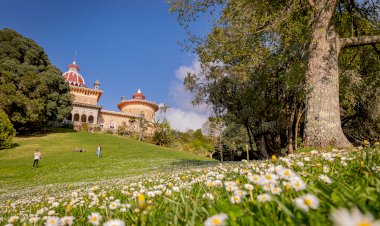 Monumentos de Sintra Com Entradas Gratuitas Para Jovens no Dia Internacional da Juventude