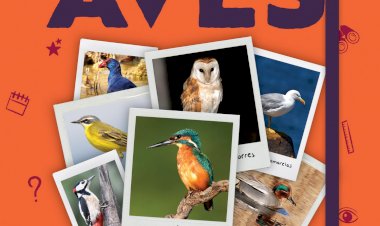 Aves de Portugal: um guia prático para descobrir em família | Booksmile