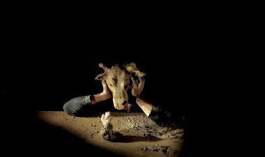 Em outubro, as marionetas regressam ao TNSJ, parceiro do FIMP