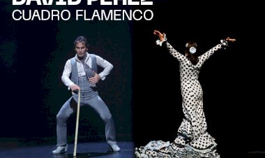 Espectáculo de Flamenco | DAVID PÉREZ: Cuadro Flamenco |  Auditório Carlos do Carmo | Lagoa