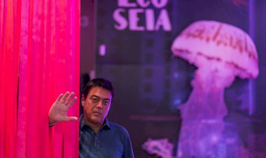 Filmes de Oliver Stone, Rodrigo Areias e animação letã Flow completam programa do CineEco 2024